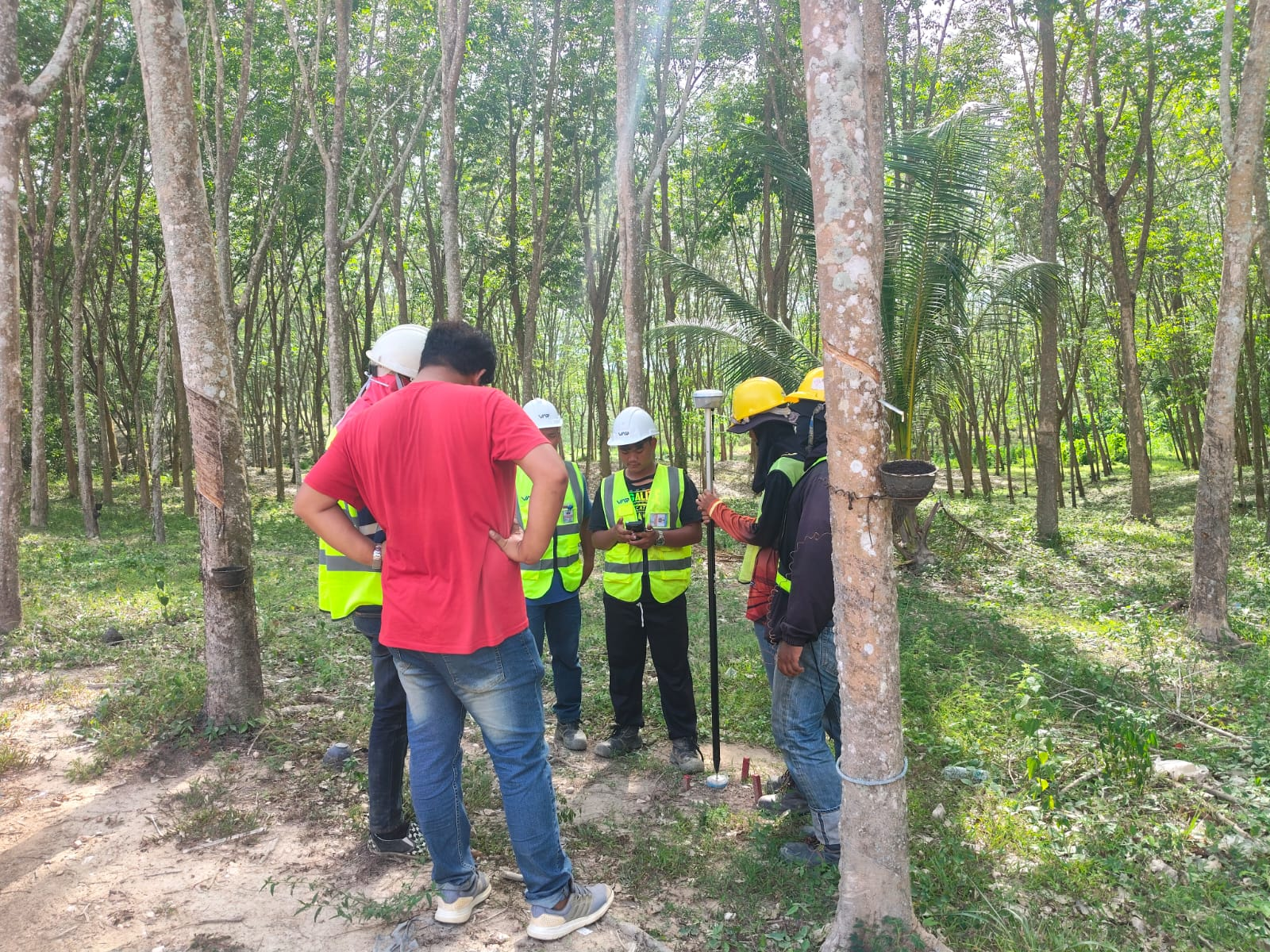 Surveyors using APEKS AP10 RTK GNSS in a dense rubber plantation in Thailand