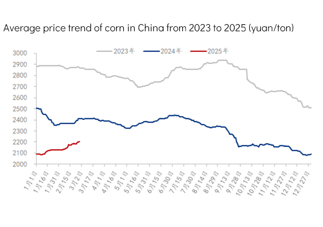 Tendência média do preço do milho na China de 2023 a 2025.jpg
