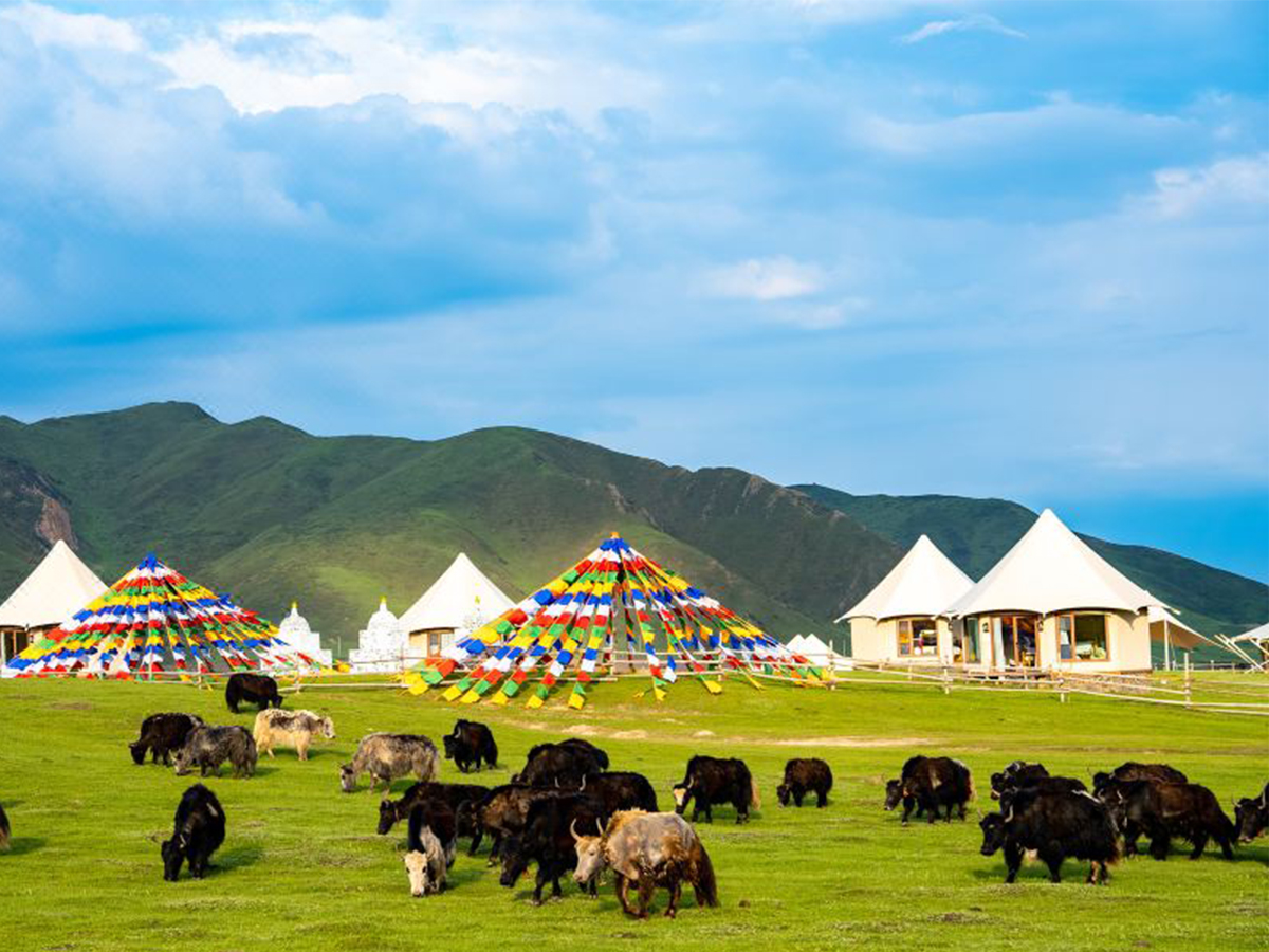 Ngama-Tented-Safari-Lodge-Tent