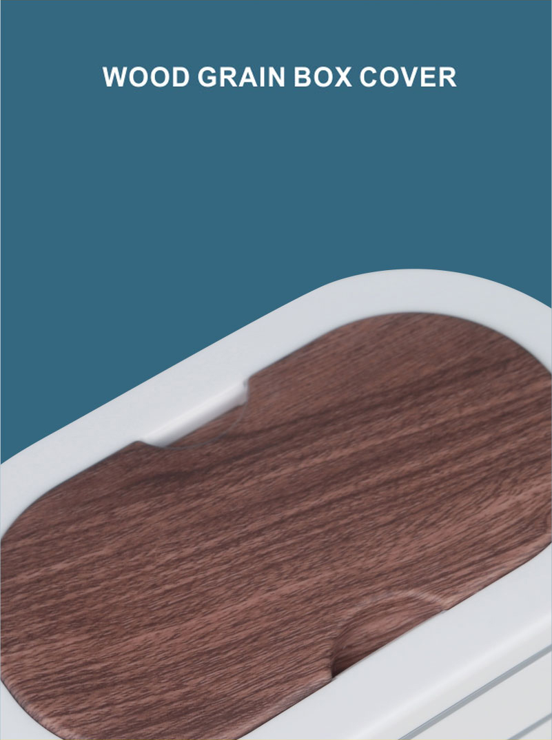 Lunchbox nrog cov ntaub ntawv qhia 1_09.jpg