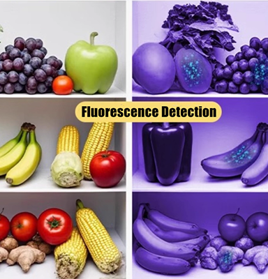 fluorescence-detection