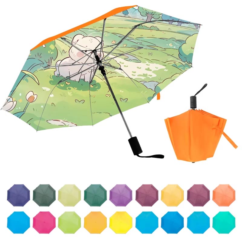 Long Foldable Umbrella Hand Carry Color Display