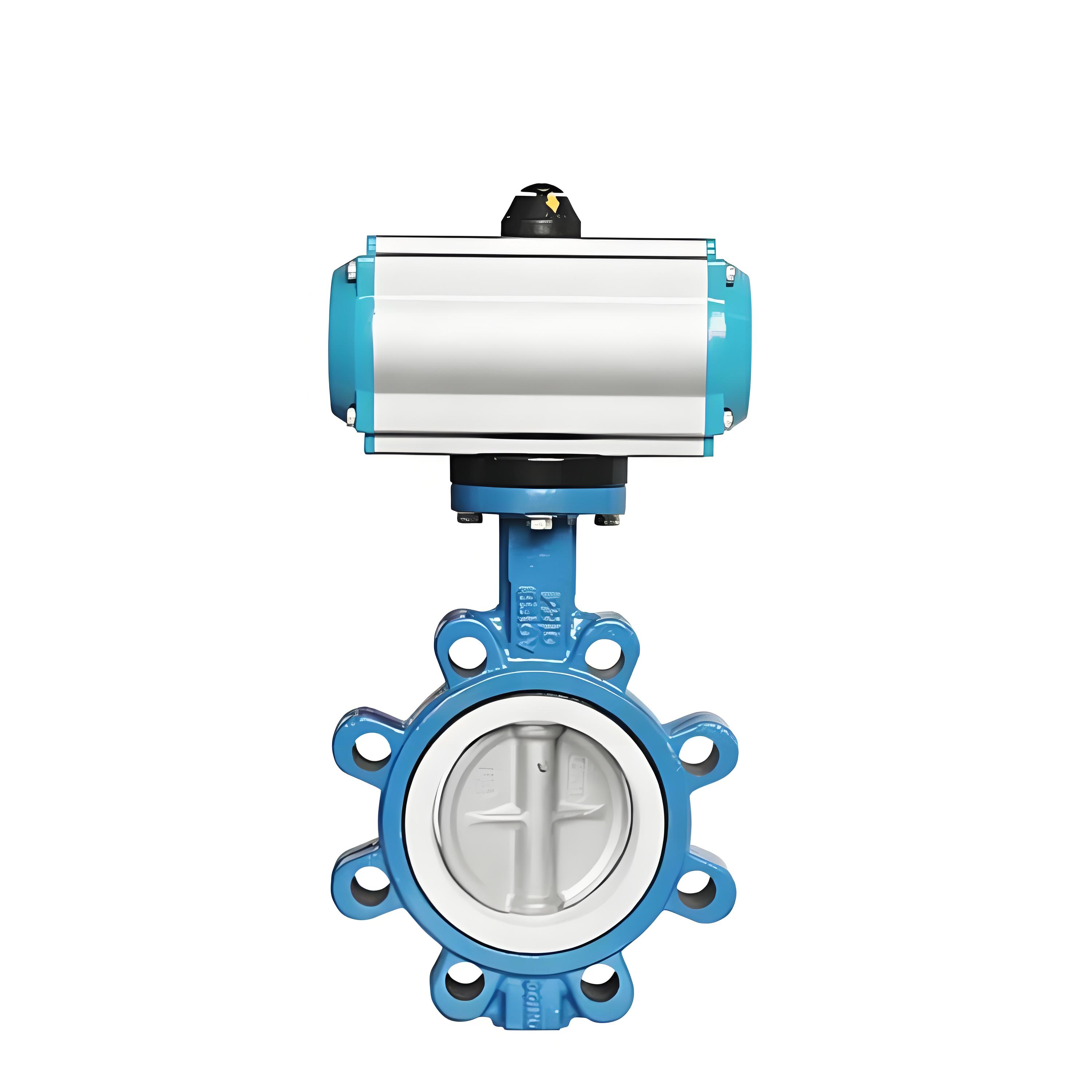 Essential Guide: Structural Features & Precautions for Lug Valves
