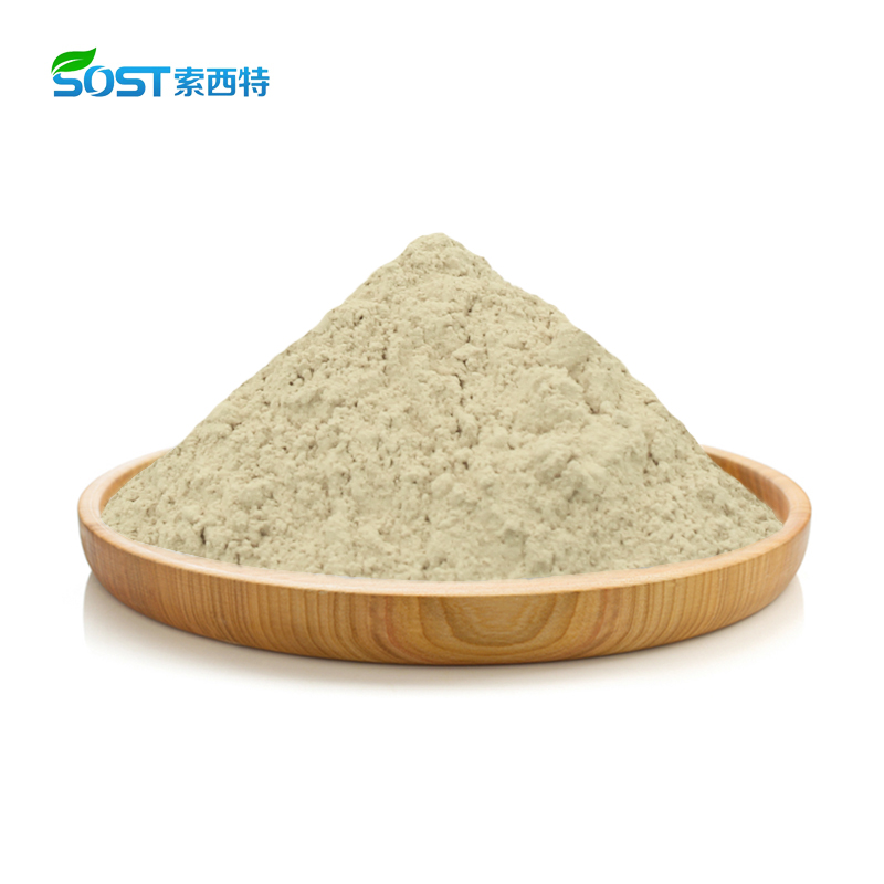 Gypenosides 80% Gypenoside Powder