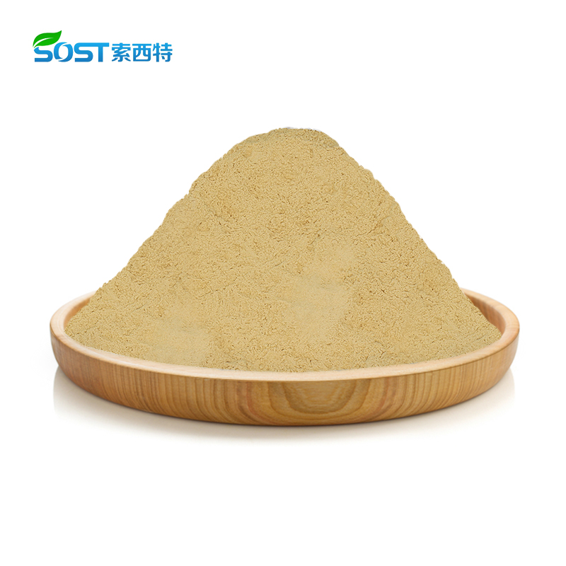 80% Ginsenosides Ginseng Root Extract