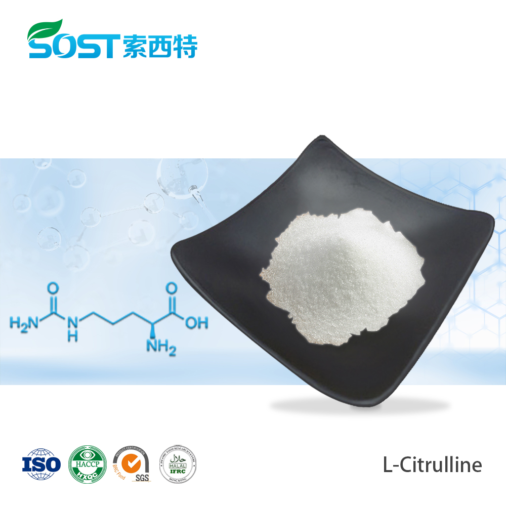 L-Citrulline Paura CAS 372-75-8 L Citrulline