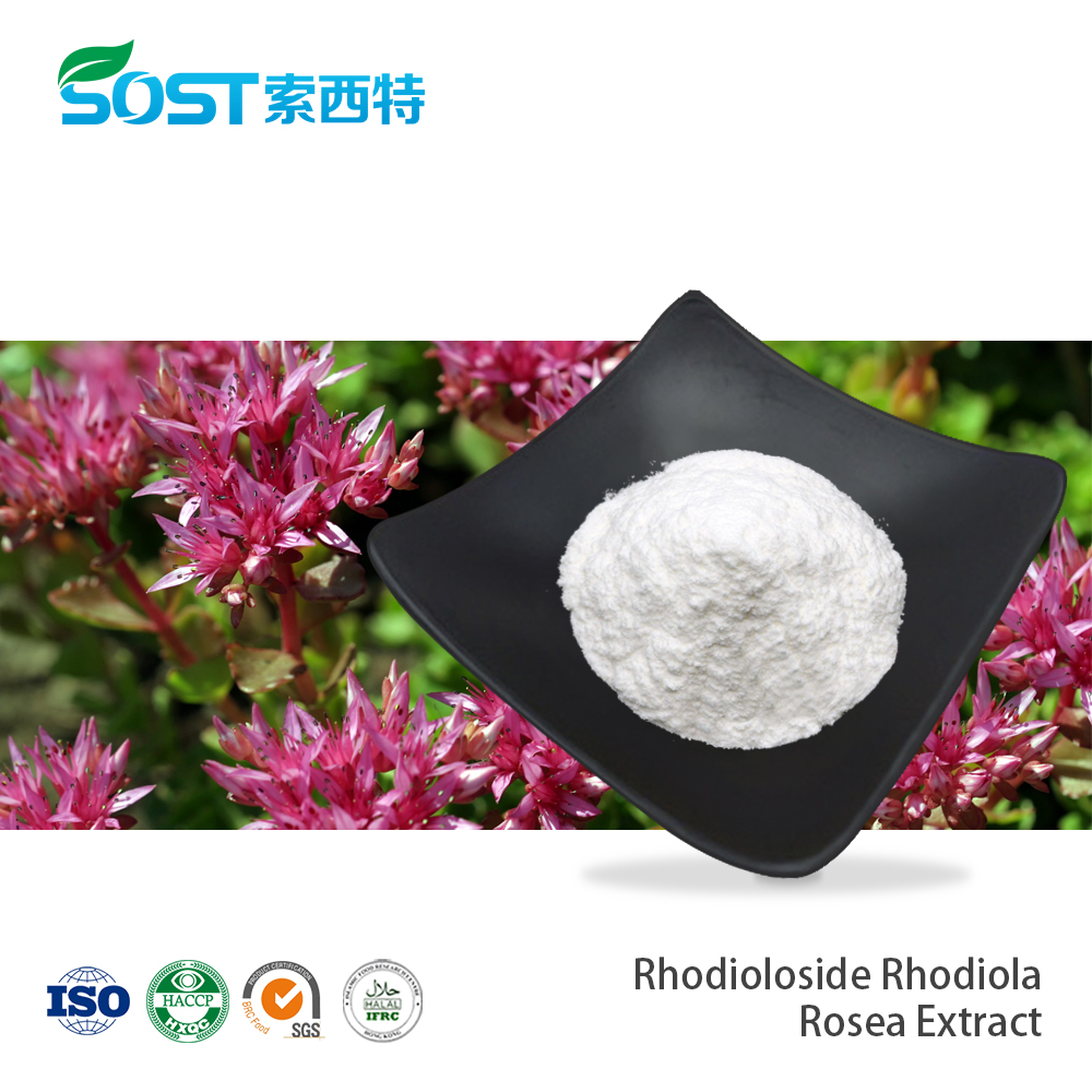Rhodioloside Rhodiola Rosea σε σκόνη