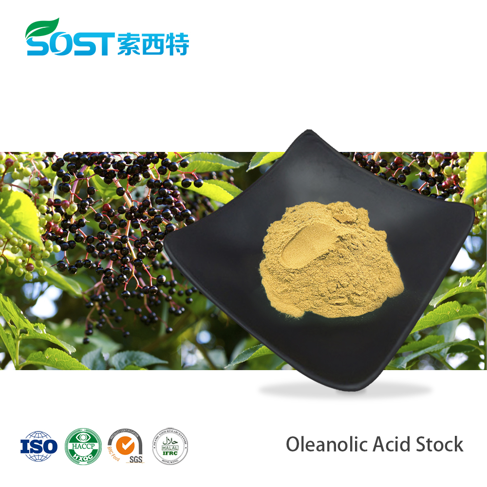 Oleanolic Acid Powder